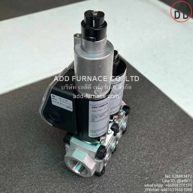 GSV-125R/LQ, GSV-125R/NQ (12)